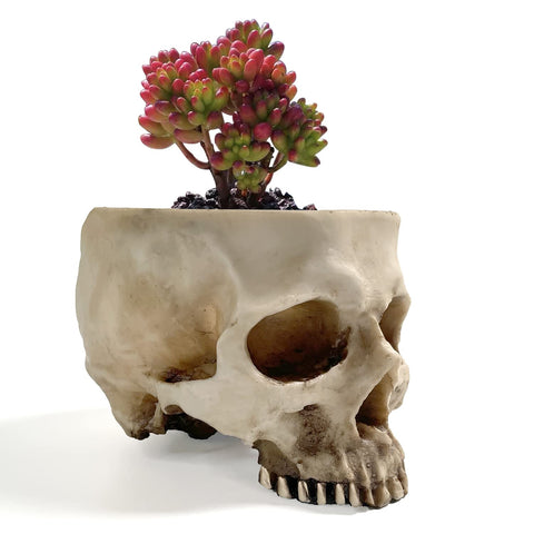 RMM retro skull head planter, clear side angle, adds dramatic tabletop accents