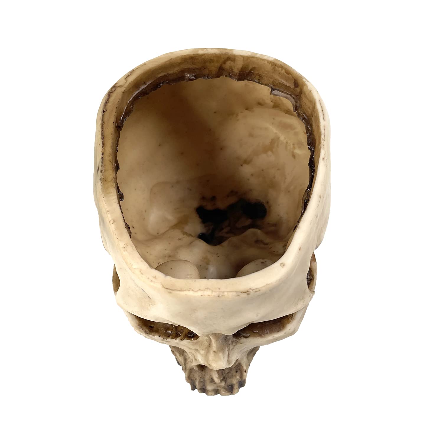 RMM skull head planter in garden-style display with greenery