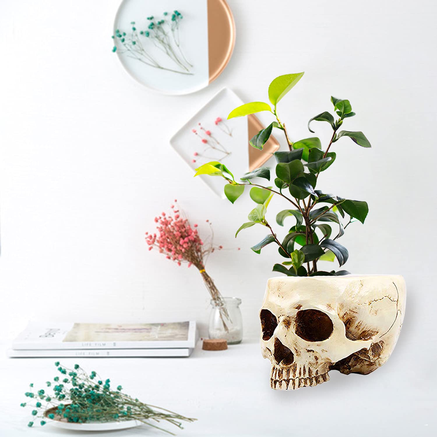 RMM skull planter on bar display, perfect for festive decor and conversation
