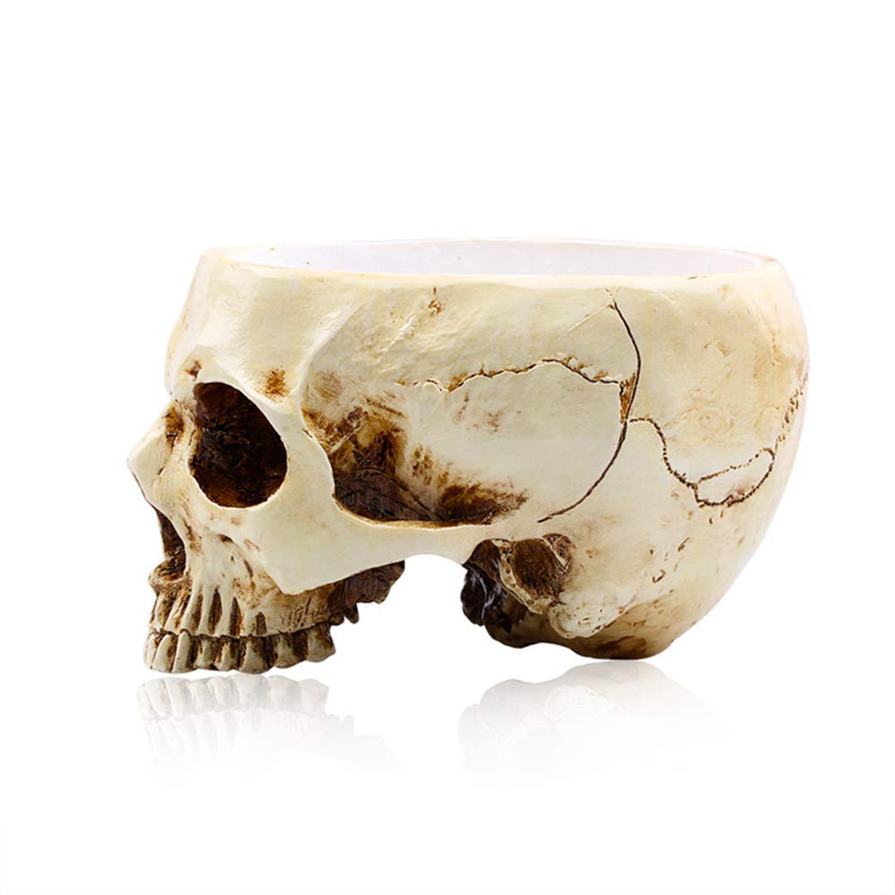 RMM skull planter on kitchen shelf with small greenery