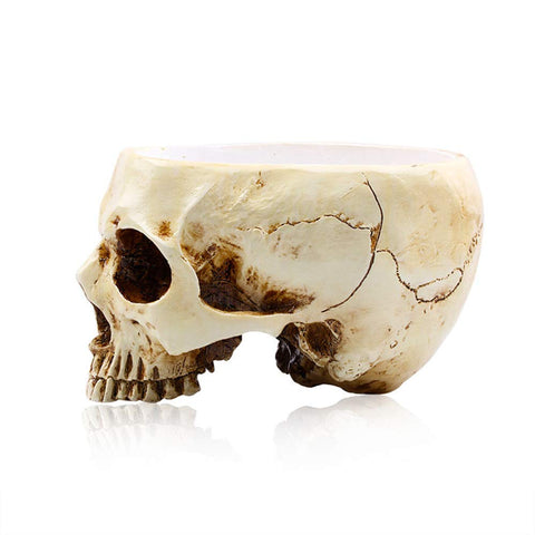 RMM skull planter on kitchen shelf with small greenery
