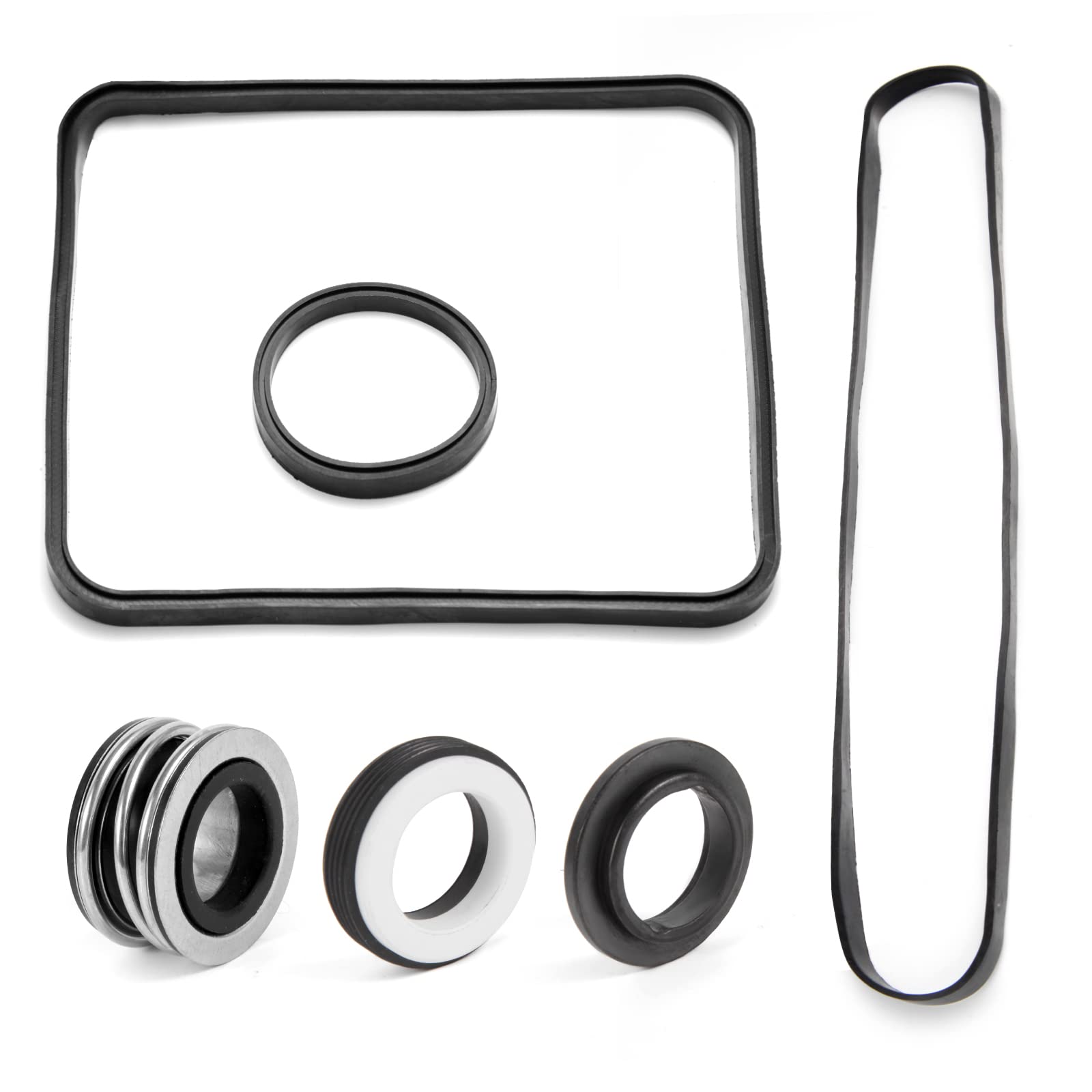 RO6G Hayward seal kit close-up showing housing and diffuser gaskets for replacement