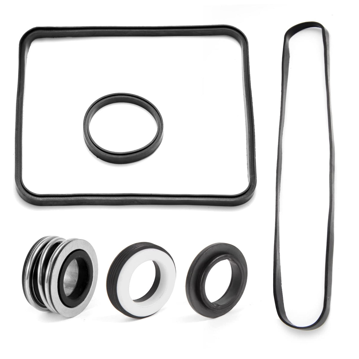 RO6G Hayward seal kit close-up showing housing and diffuser gaskets for replacement