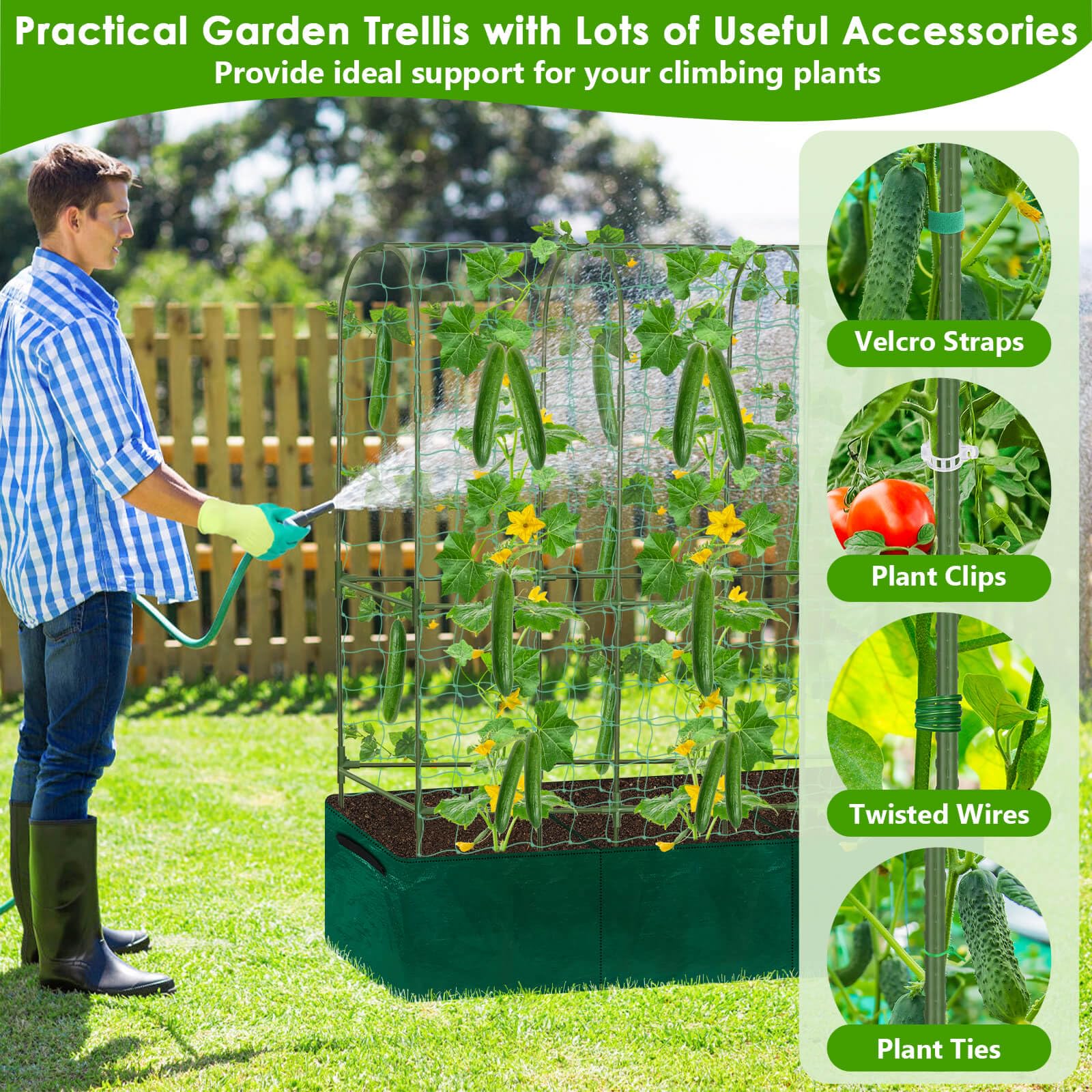 ROADPLUM cucumbers on trellis simplify picking and air circulation