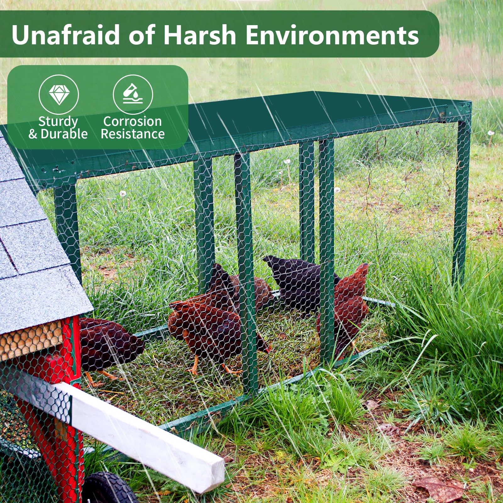 ROADPLUM pet protection garden fence image illustrates protecting poultry and plants from pests