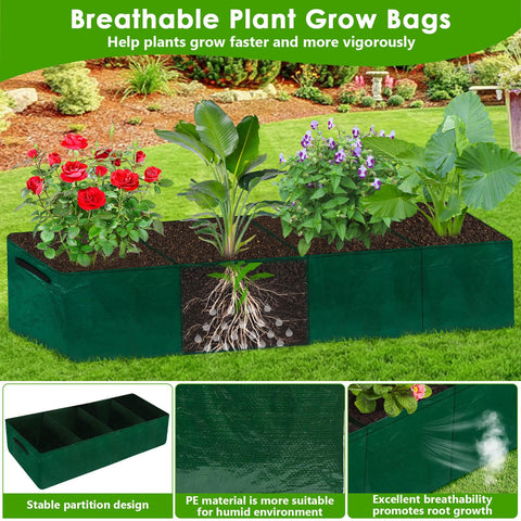 ROADPLUM tomato clips pack helps secure vines neatly.