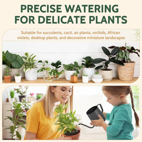 Roamall desk-friendly watering tool for terrariums and mini landscapes.