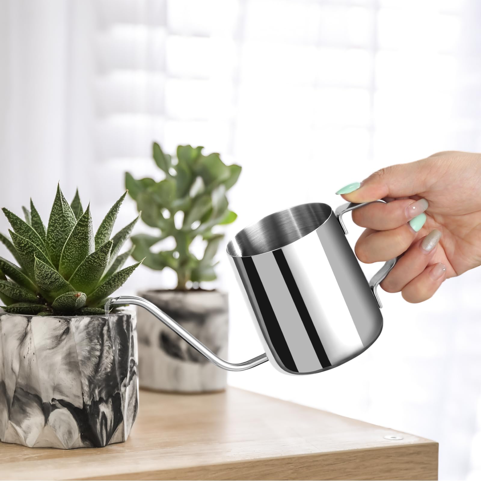Roamall small watering can with long gooseneck for precise indoor watering