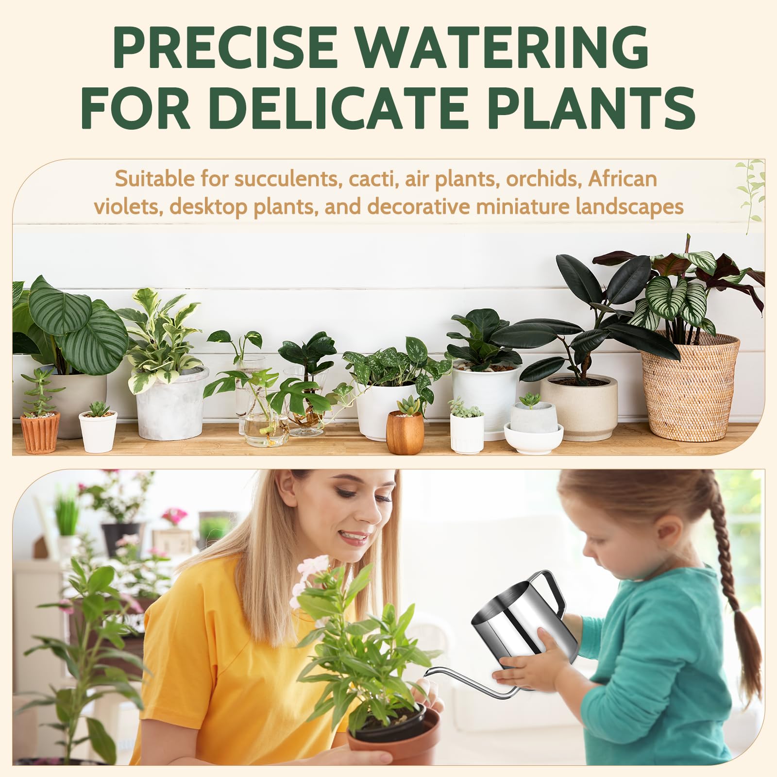 Roamall ideal for terrariums and bonsai hydration