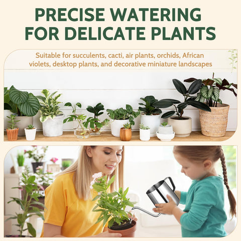 Roamall ideal for terrariums and bonsai hydration