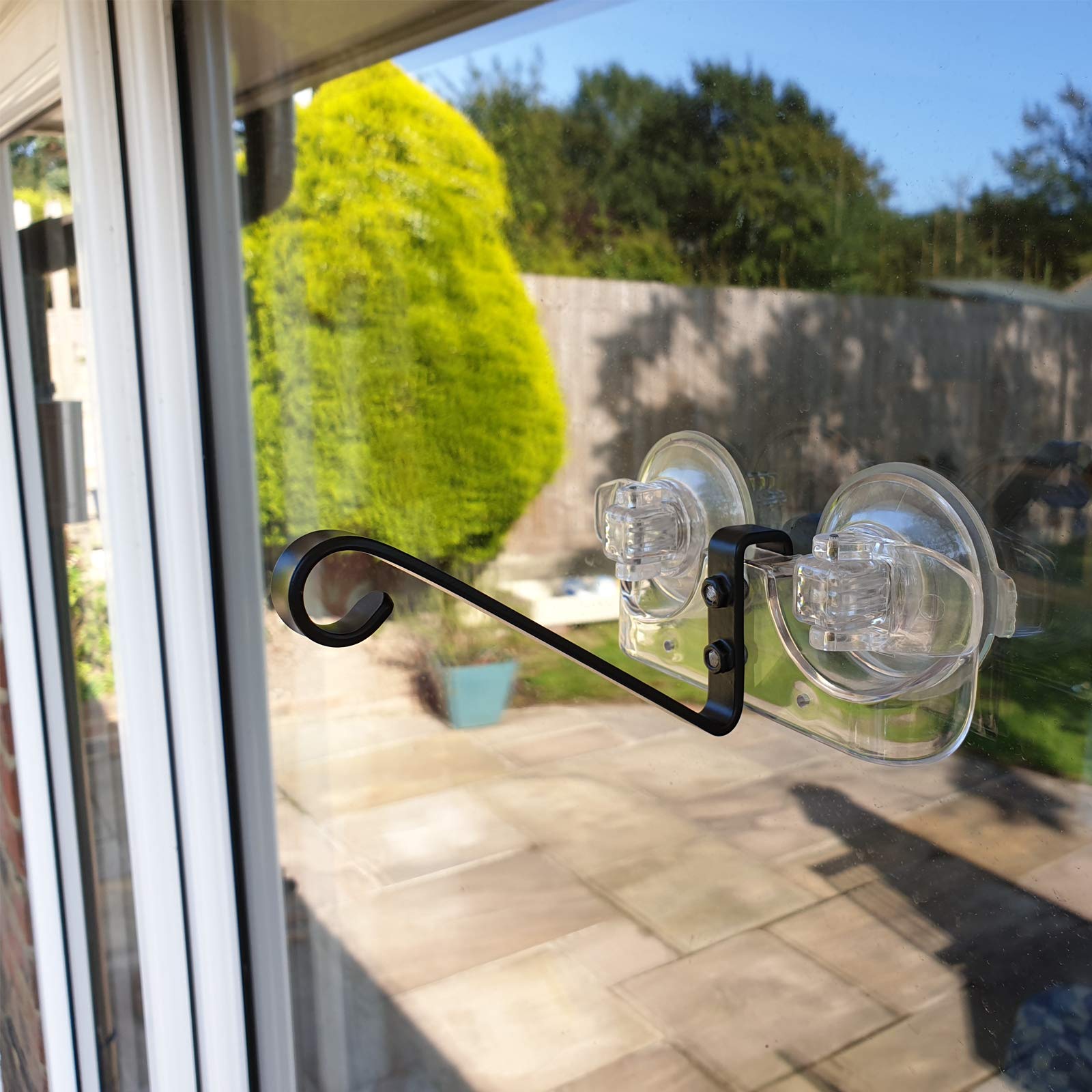 Bird viewing from indoors as Roamwild attracts garden visitors through the window