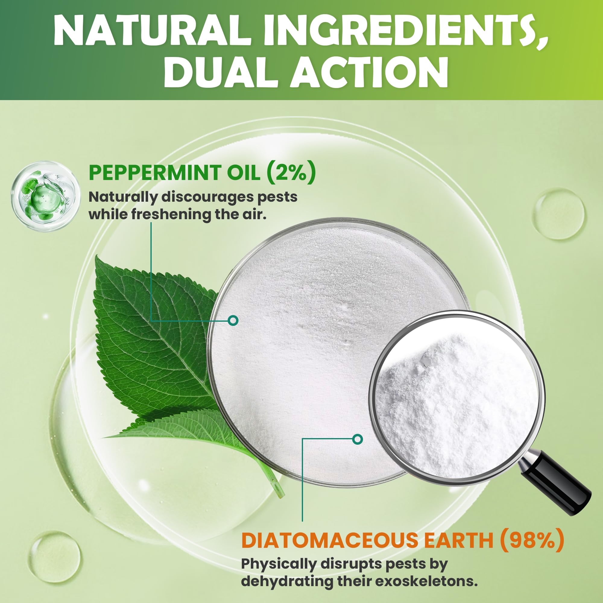 RobiGuard diatomaceous earth dust sprinkled along cracks for crawling insects.