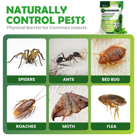 RobiGuard powder applied to entry points to deter ants and roaches.