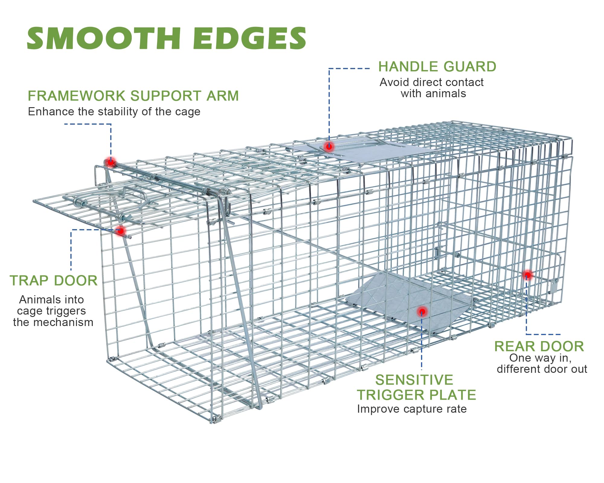 Inside view of Rockever trap cage cover setup, illustrating privacy and calm environment.