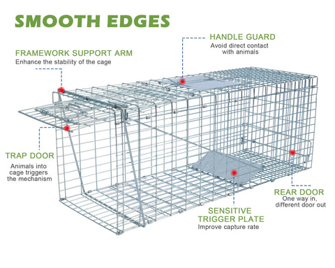 Inside view of Rockever trap cage cover setup, illustrating privacy and calm environment.