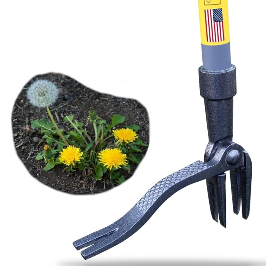 Rocklin Stand Up Weed Puller with 4-claw steel head for deep root grip.