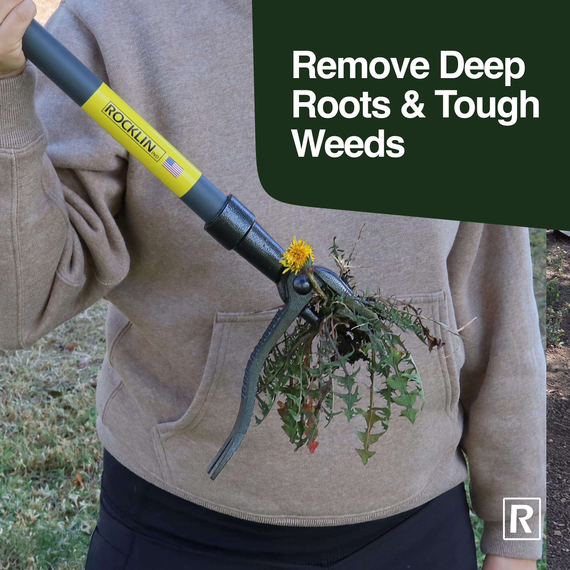 Rocklin deep-root removal supports stubborn weeds like dandelions.