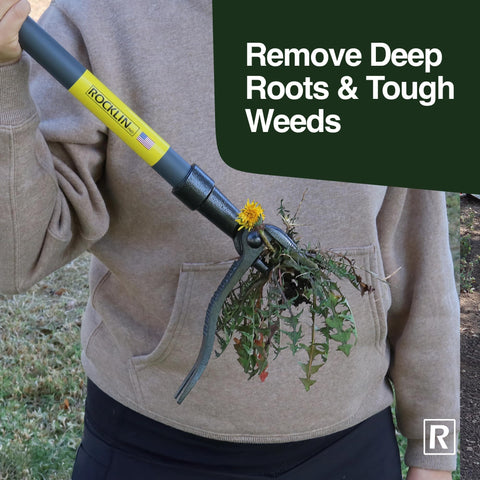 Rocklin deep-root removal supports stubborn weeds like dandelions.
