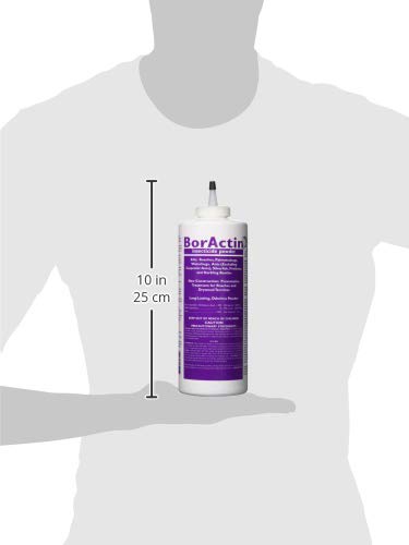 Rockwell Labs BorActin dust packaging and label for ready-to-use pest control.