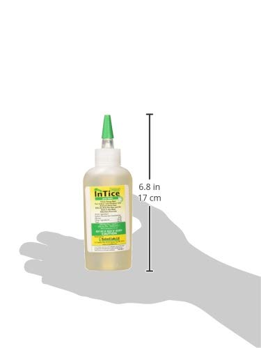 Rockwell Labs InTice Thiquid Ant Bait being applied in a corner to attract foraging ants.