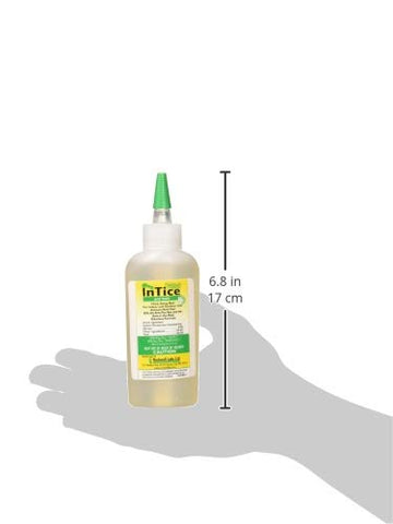 Rockwell Labs InTice Thiquid Ant Bait being applied in a corner to attract foraging ants.