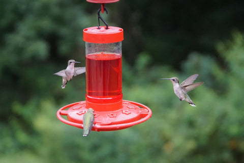 Rocky Mountain Goods feeder with multiple feeding ports for several birds
