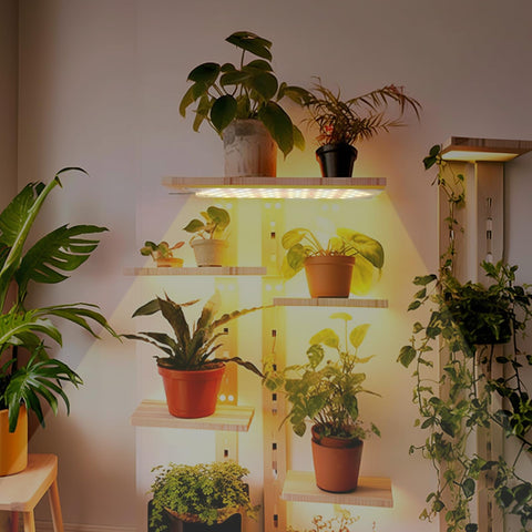 Rocoking Grow Light Panel under-cabinet installation for discreet home use
