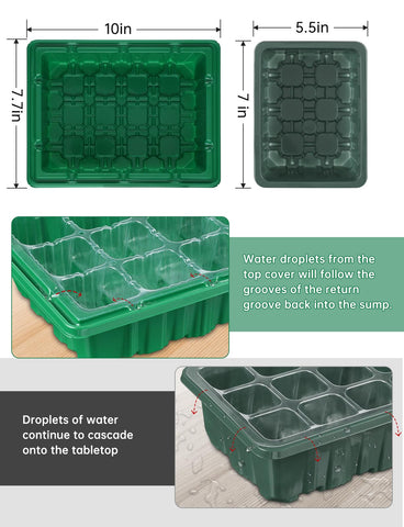 RODINTO all-in-one starter set includes 3 trays and essential tools.