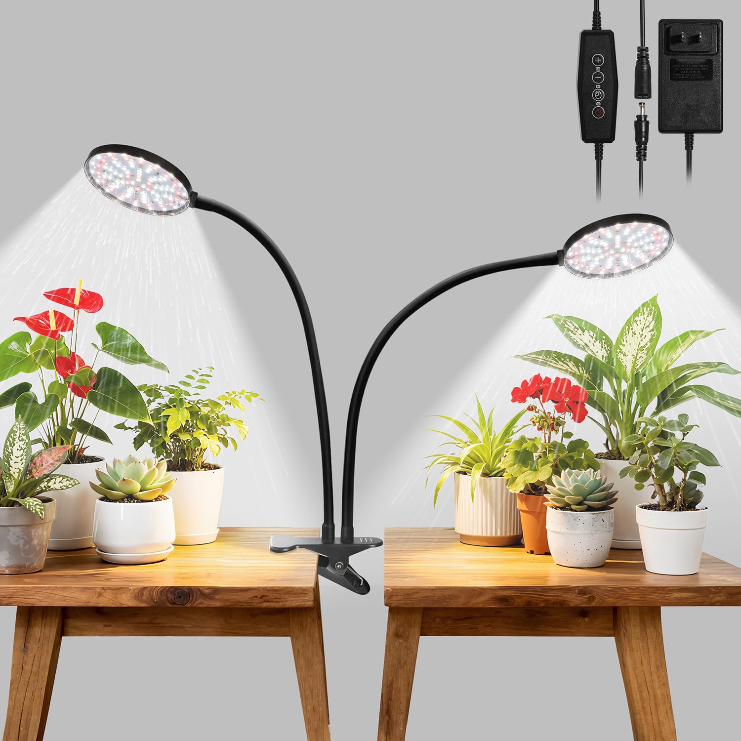RODINTO clip-on grow light with dual heads for broader indoor coverage and even lighting