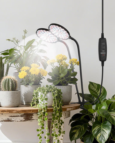 RODINTO dual 4.8-inch heads deliver wider coverage for multiple pots