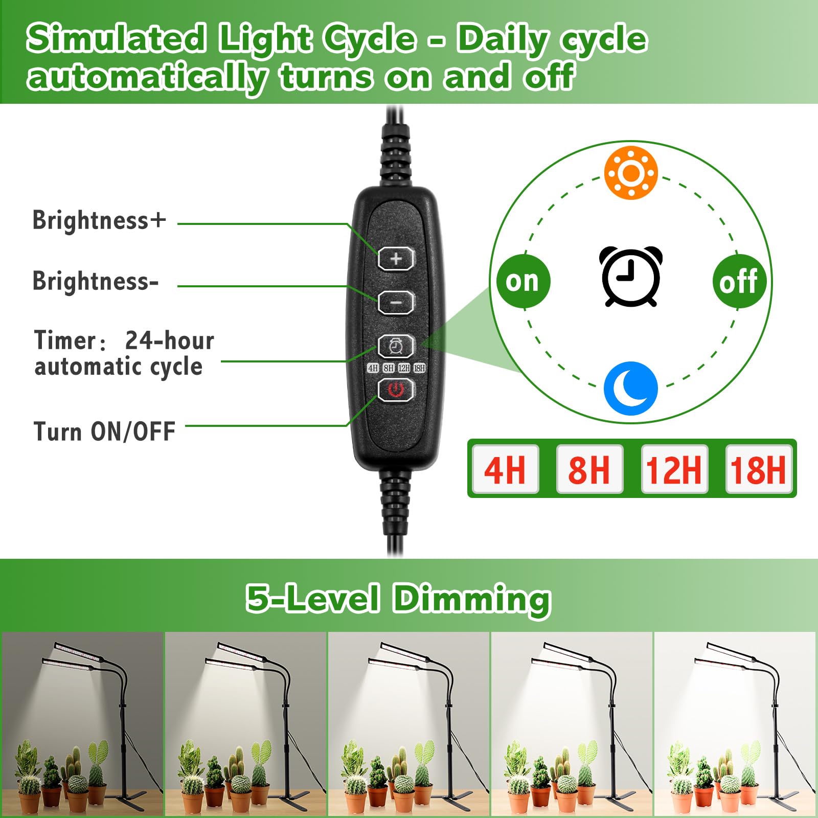 RODINTO auto-timer and dimming controls enable customized schedules