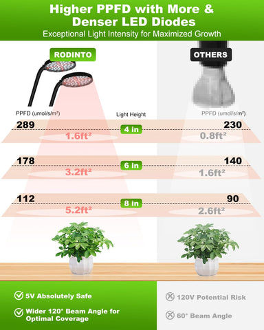 RODINTO Grow Lights with brightness adjustment support precise seedling care.