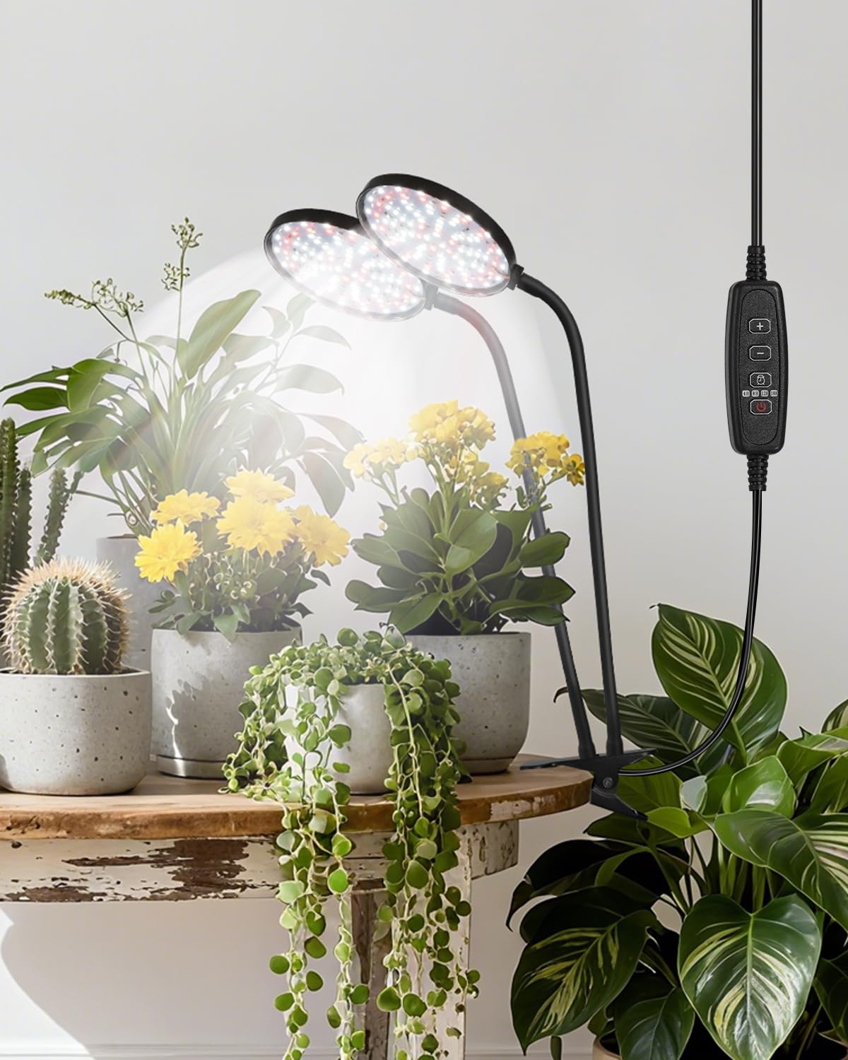RODINTO Grow Lights compact design fits small spaces stylishly.