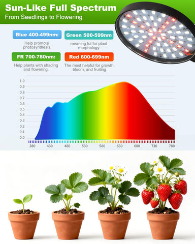 RODINTO Grow Lights energy-efficient LEDs reduce power while nourishing plants.