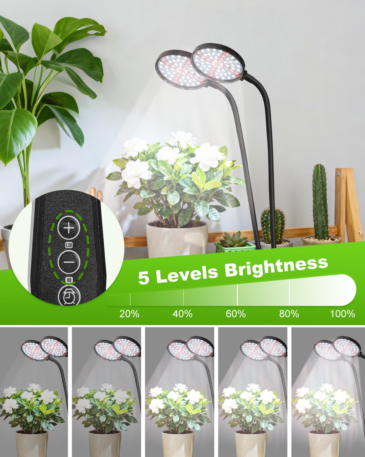 RODINTO Grow Lights sturdy clip attaches to desks or shelves securely.