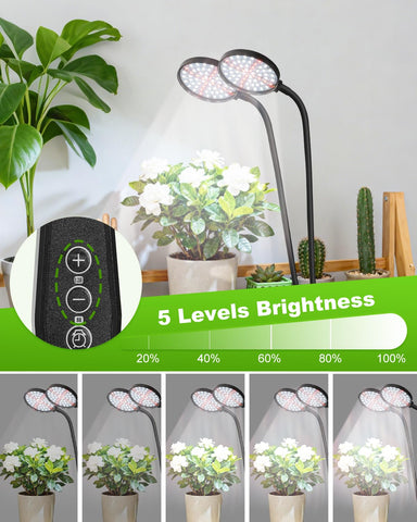 RODINTO Grow Lights sturdy clip attaches to desks or shelves securely.