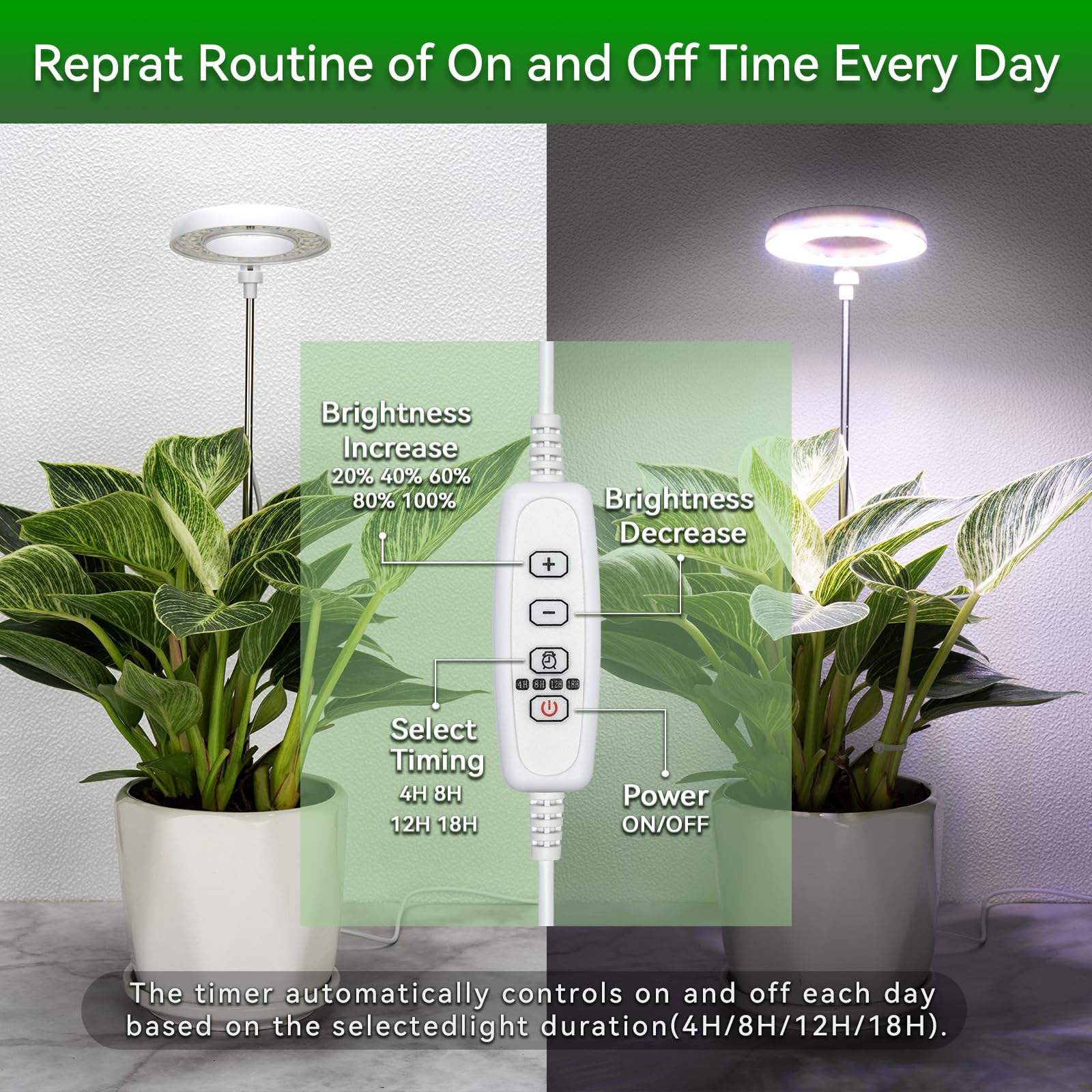 RODINTO halo grow light includes an auto timer for reliable daily cycles