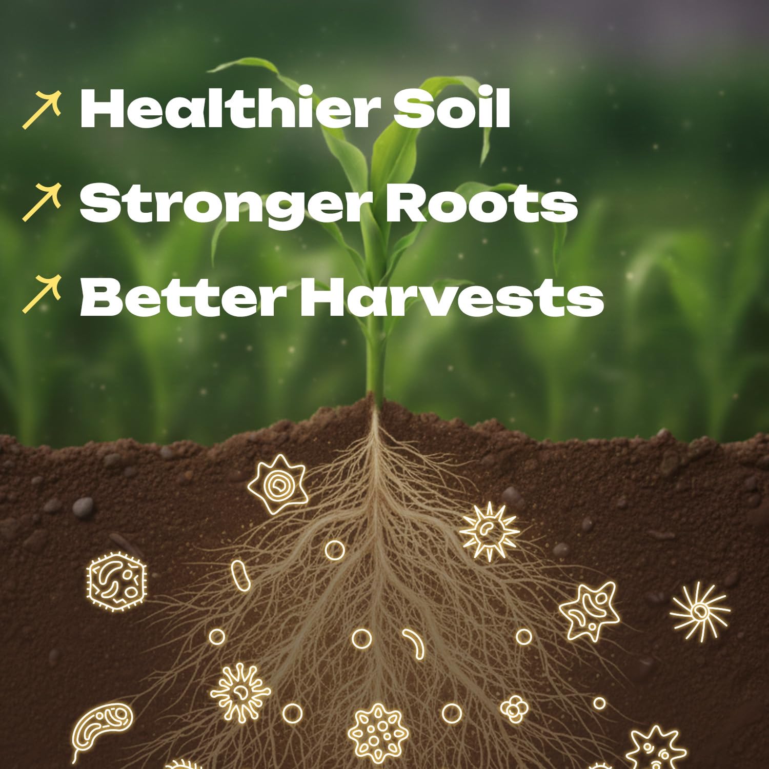 Rolling Springs RichFarm Booster field spray ready mix evenly coats soil and roots.