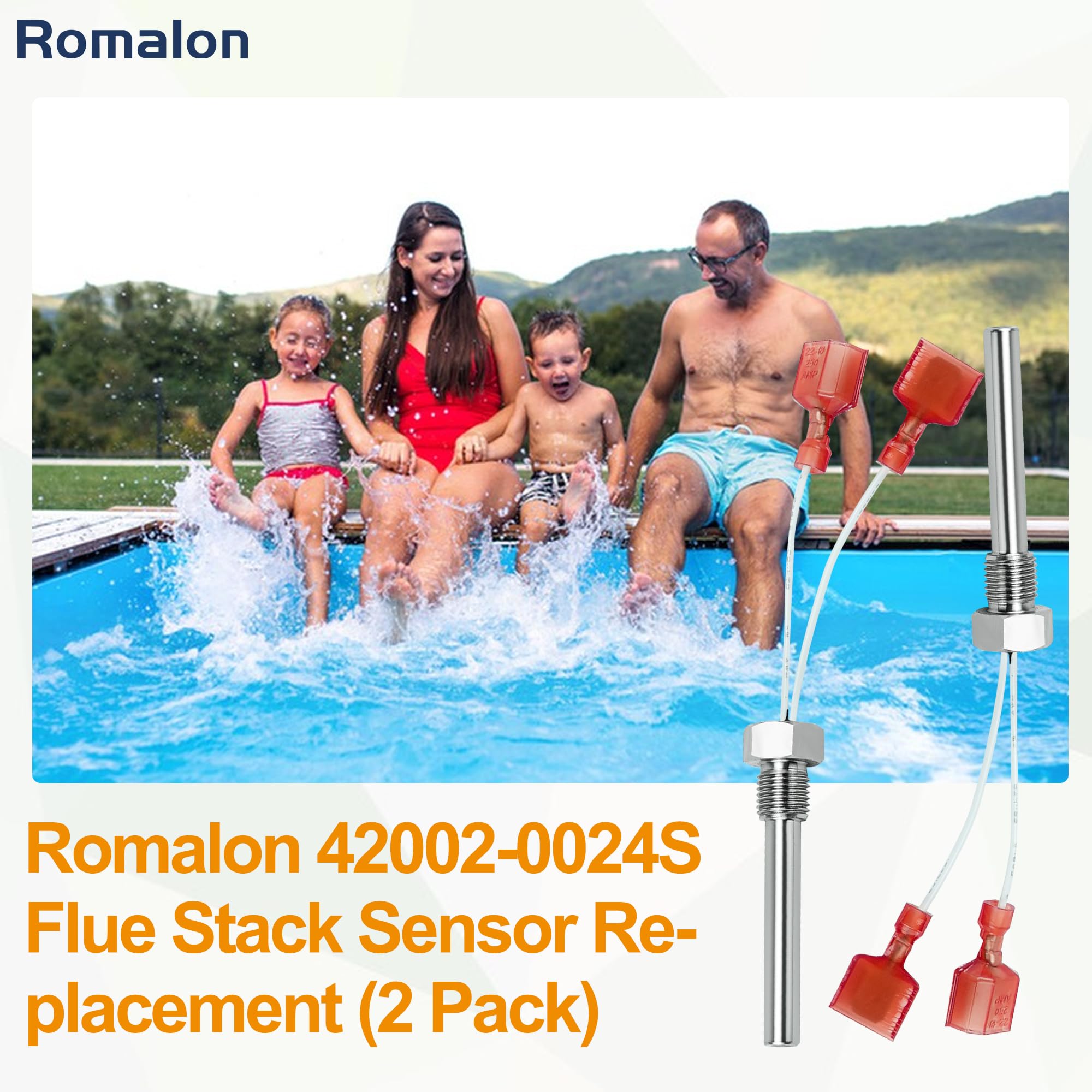Romalon 42002-0024s near the flue monitor prevents unsafe readings.