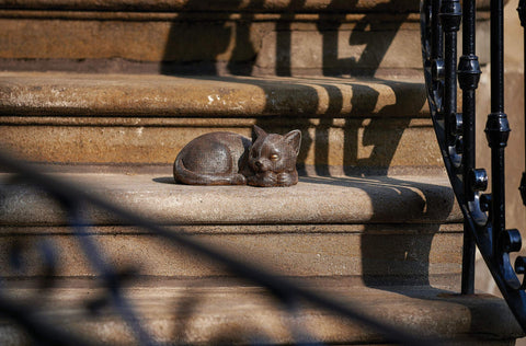 Roman Garden bronze sleeping cat statue beside walkway adds whimsical garden detail.