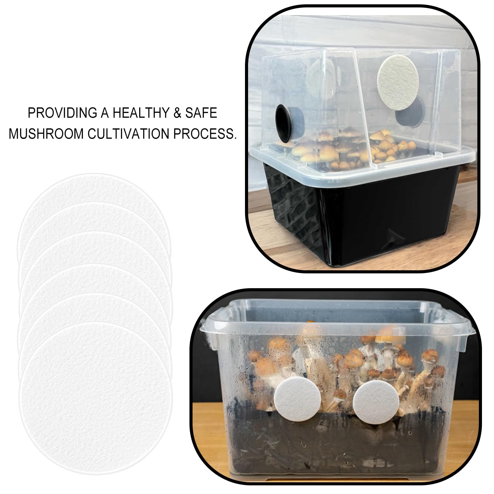 RonJea 24-piece filter disc set supports various monotub sizes.