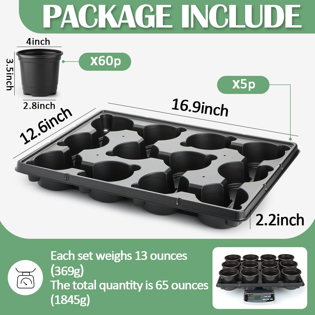 RooTrimmer 12-cell nursery tray showcases organized seedling transport and air flow.