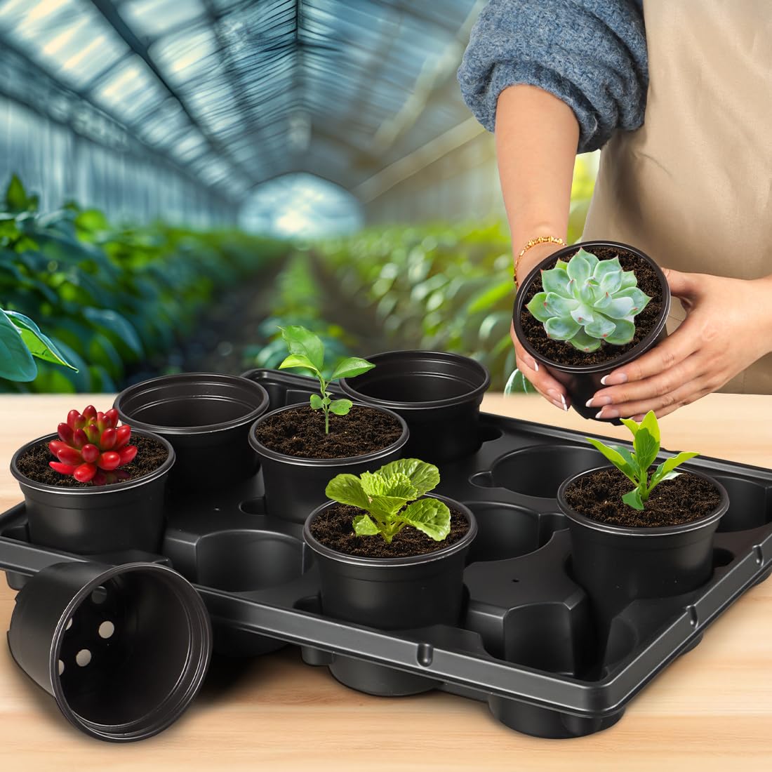 RooTrimmer compact-seedling-transport-kit ideal for balcony gardening.