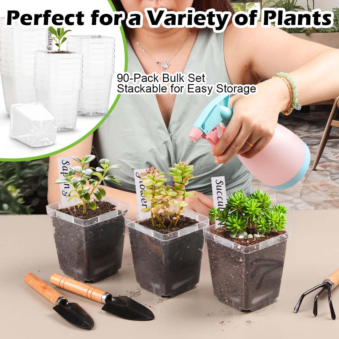 RooTrimmer pots enable gentle transplanting without root damage.