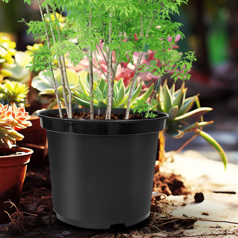 RooTrimmer pot suitable for both indoor and outdoor use