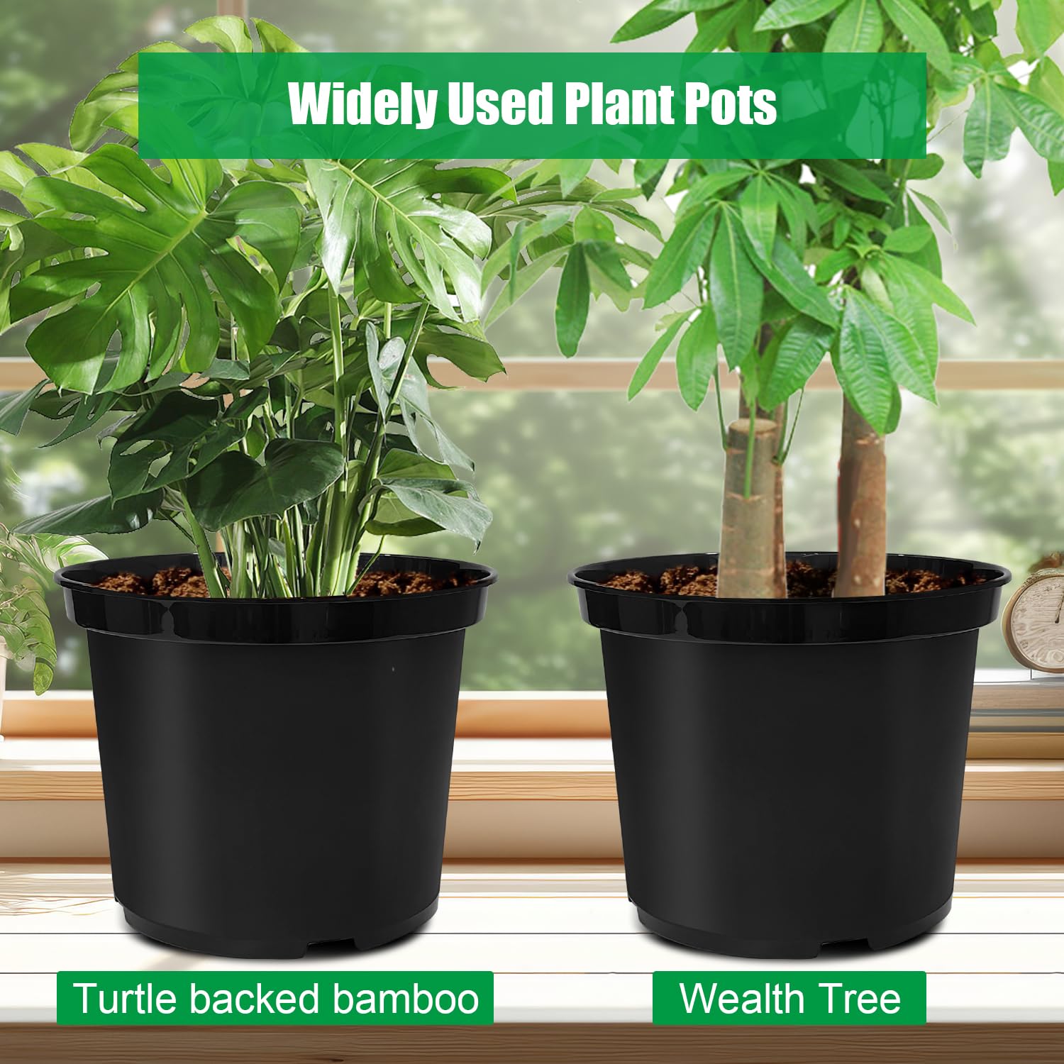 RooTrimmer lightweight pot enabling easy transplant and move