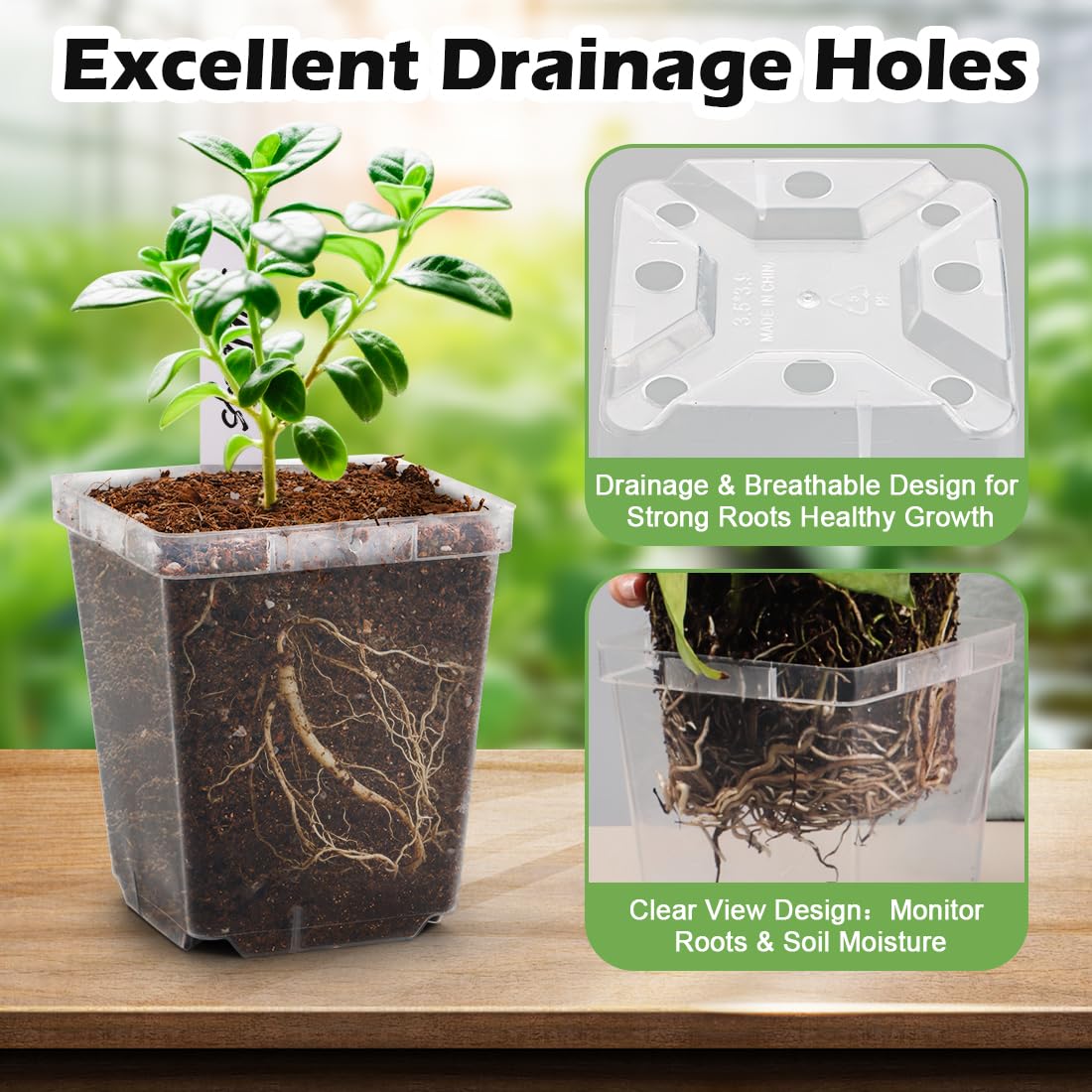 RooTrimmer pot with labels aids quick seedling identification.