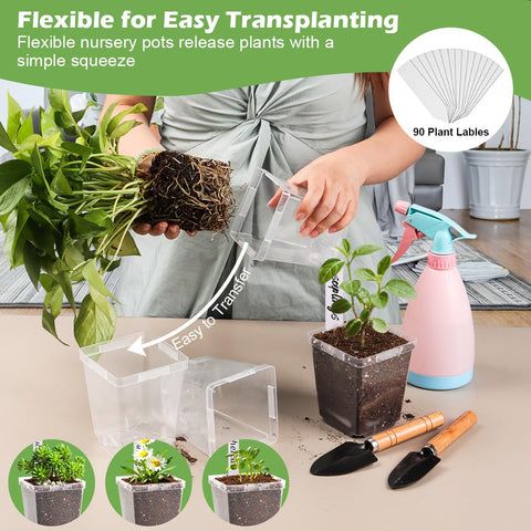 RooTrimmer seedling pots support thriving herbs like basil.