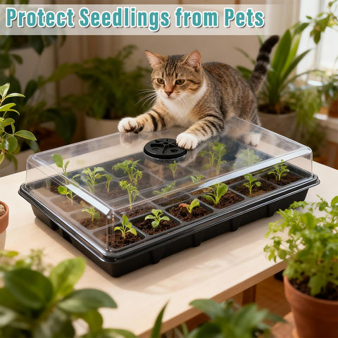RooTrimmer winter indoor growing seed tray setup