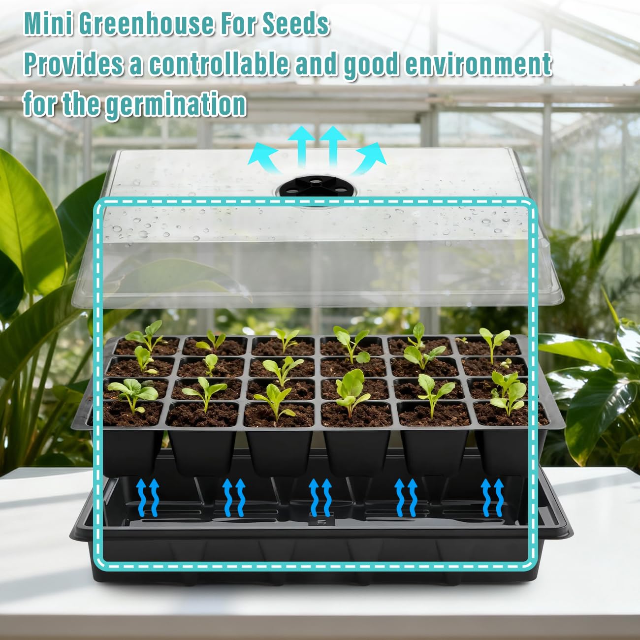 RooTrimmer 24 2-inch cells per tray for strong root growth